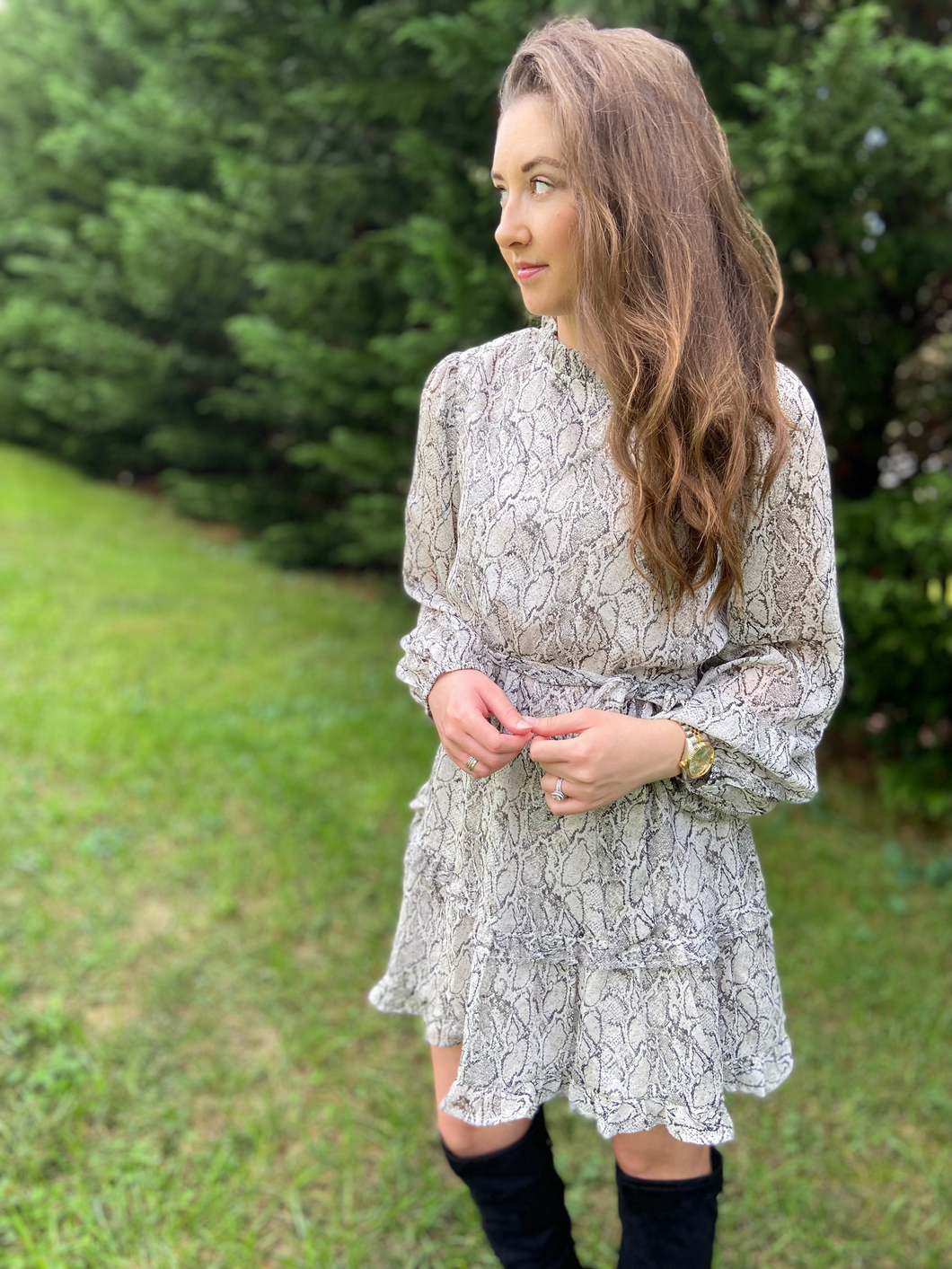 Skylar Snake Print Dress